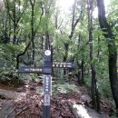 구름산정상길 이미지