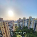 압구정-206 이미지