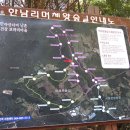 남조로수망교차로 4 이미지