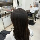 이다애견미용실 | 김해율하미용실 / 율하2지구 미용실 : 베이즈헤어 꼼꼼한 클리닉 만족후기