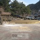 청솔조경 이미지