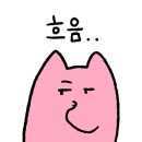 노말살롱 네이버블로그