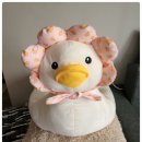 둥지애견 이미지