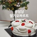 모짜르트 | 성심당 딸기모짜르트 2호 후기 초코시트에 동물성 생크림 조합