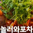 요거트아이스크림의정석신당점