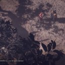 로아인터네셔널 이미지