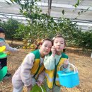 소연농원 - 거창군 진마루길 239-51 | 소연농원