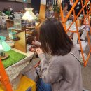 유리미내 이미지