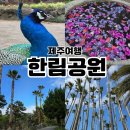 반가반가 | 내돈내산 아이랑 제주여행 한림공원