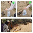 용봉산 공영주차장 이미지