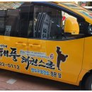 태풍태권스쿨 이미지