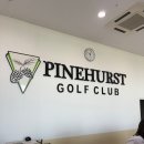 파인 | 아산 파인허스트 골프장 후기 (드라이버 가능)