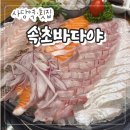 속초바다회 | 사당역 횟집 추천! "속초바다야" 가성비 퀄리티 좋은 회 맛집 내돈내산 후기!