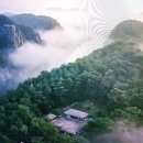 종촌동CGV앞 | [영화] 엄흥도와 단종 관계의 이야기를 다룬 영화<왕과 사는 남자> 관람 후기