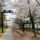 노원행복도서관 | 화랑대역 철도공원 벚꽃 노원 기차마을 카페 기차가 있는 풍경 후기