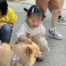 헬로우동물병원 이미지