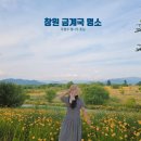 대산문화체육공원(축구장) | 창원 금계국 명소 대산 북부리 우영우 팽나무 자전거 드라이브 코스
