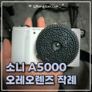 오레오빈티지 | 소니 A5000 오레오렌즈 작례｜대전오월드에서 담아본 필카 감성 사진 (사진 많음)