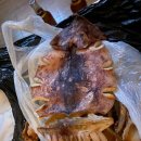 썬파크텔 이미지