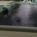 여객터미널 이미지