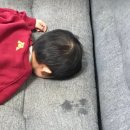 내서중학교 | (합격+) 보건 기간제 교사 초등학교, 중학교 면접 후기