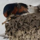 수옥경로당 이미지