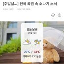 [주말날씨] 전국 폭염 속 소나기 소식 이미지