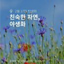 야생화 - 구례군 하관길 70-1 | 야생화