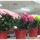 인지공판장 이미지