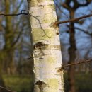 웰크레페 이미지