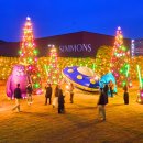 이천 시몬스테라스 빛과 음악이 가득한 크리스마스 이벤트 이미지