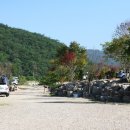 장터추어탕캠핑장 이미지