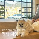 창원 웅천읍성 | 창원 진해 애견동반 카페 분위기 좋은 이엠커피 웅천읍성 데이트코스