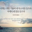 28 이미지