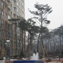 신서-3 이미지