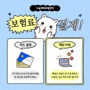 호주 워킹홀리데이 보험 발급 방법 + 호주 워킹홀리데이 보험 증서 발급 후기