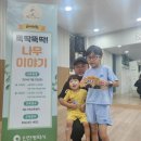 뚝딱뚝딱 나무 이야기 네이버블로그