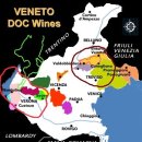 와인적색 이미지