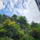 파주메이트호텔 이미지