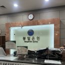 한화호텔앤드리조트(주) 온천사우나 | 웰니스 트렌드 사우나 봉천동 봉일온천 내돈내산 후기