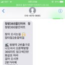 해뜨는 숲속 이미지