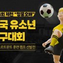 제 4회 제천 '청풍호배' 전국 유소년 축구대회 이미지