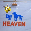 주)펫더헤븐 | [공지] 반려동물 장례식장 '펫 헤븐(Pet Heaven)' 예약 후기: 편안한 예약과 친절함에 감동했던 시간
