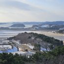 지선농장 Daum카페