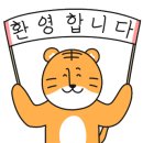 오룡한국태권도장 네이버블로그