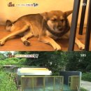 두화농장 이미지