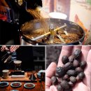 CoffeeTree 이미지