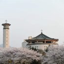 해미농장 오마이뉴스