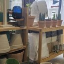 경산꽃집 이미지