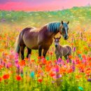 부윤목장 이미지